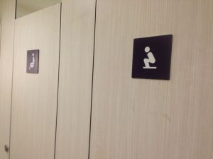 In a touching display of multiculturalism, it is common to find both types of toilet side by side. 