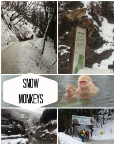 Snow Monkey Collage.